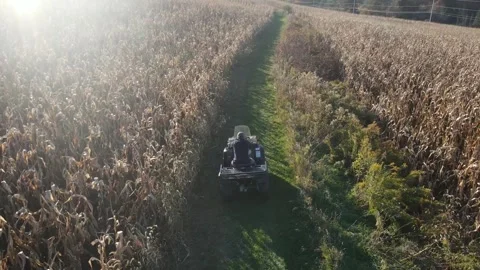 Man riding 4 wheeler through a sunny farm corn field in Central Pennsylvani.. Vídeos de archivo 243849238