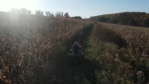 Man riding 4 wheeler through a sunny corn field in Central Pennsylvania USA Vídeos de archivo 243849266