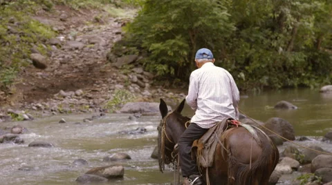 Man riding away from a river Stock Footage 43189472