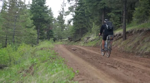 Man riding bicycle on dirt track through forest Stock Footage 49012895