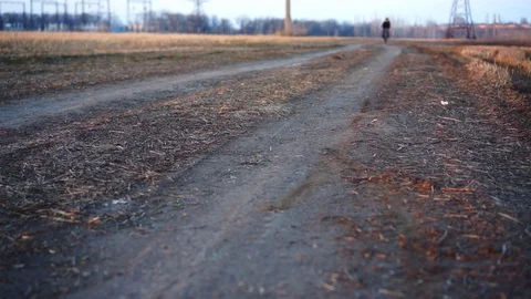Man riding bicycle in field. Stock Footage 88731581