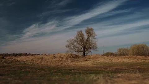 Man is riding a bicycle in the field Video stock 88885448