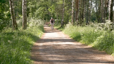 A man is riding a bicycle on a forest path. He leads a healthy lifestyle Stock-Footage 91865107