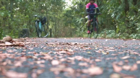 A man riding bicycle on the forest track in Bang Krachao, Thailand. Stock Footage 107174748