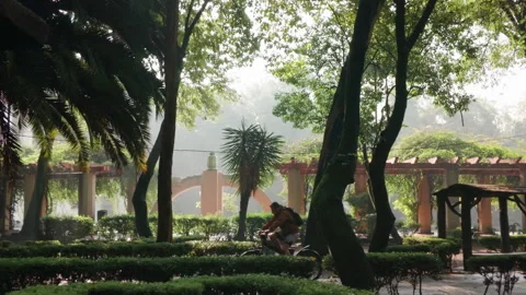 Man riding a bicycle at Parque Mexico, Mexico City, Mexico - July 9, 2026 Stock Footage 341901972