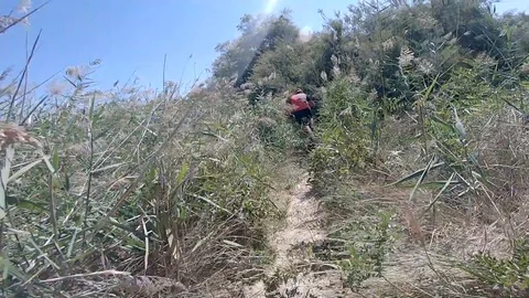Man riding on bicycle on path between trees on hill in forest 스톡 동영상 115356681