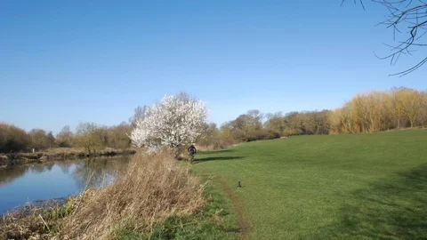 Man riding bicycle through park on spring sunny day. Green grass, river view. Video stock 104103259