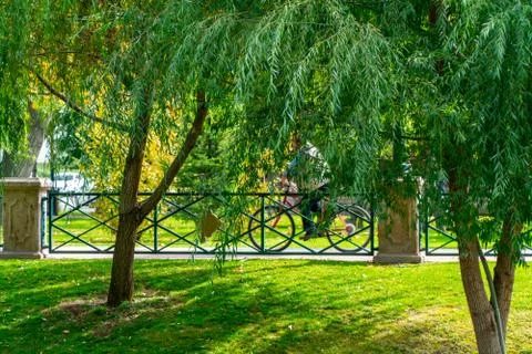 Man riding bike between trees in the park. Stock Photos