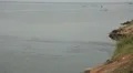 Man riding a blue speed boat in Sri Lanka HD Footage