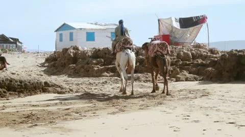 Man riding camel on the beach Stockbeeldmateriaal 10770175