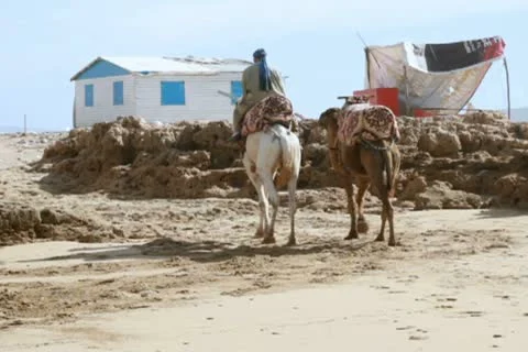 Man riding camel on the beach 库存影片 10793373