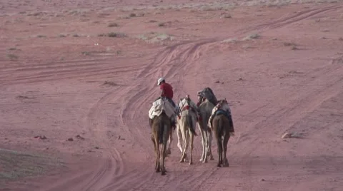 Man riding a camel, walks with four camels in desert Stock Footage 8679211