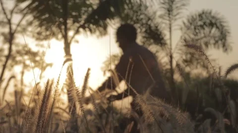 Man riding a cycle through the fields Stockbeeldmateriaal 55551736