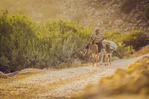 Man riding a donkey on a rural path Stock Photos