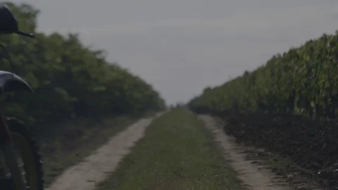 Man riding a motorcycle Stock Footage 72185361