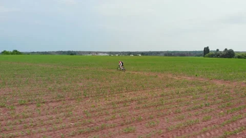 Man riding mountain bicycle at the field road. Far view of sporty guy cycling Stock Footage 132650327