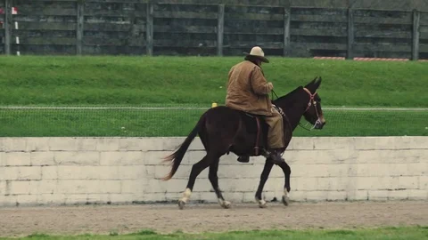 Man Riding Mule Stock Videos – Royalty-Free HD & 4K Videos