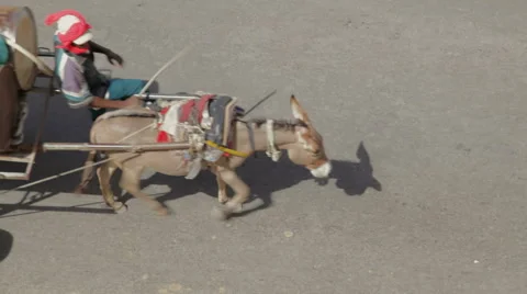 Man riding wagon 스톡 동영상 68000785