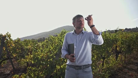 Man in the ripeness of grapes using a hand-held refractometer Stock Footage 270065096