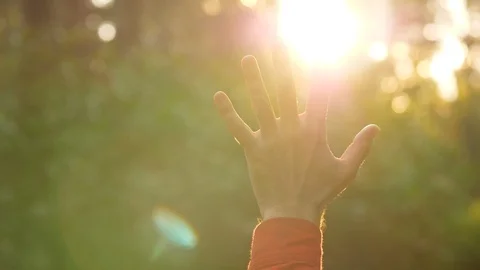 Man risw hand to beautiful sun light Stock Footage 90987397