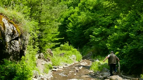 Man on river in the forest Stock Footage 189803875