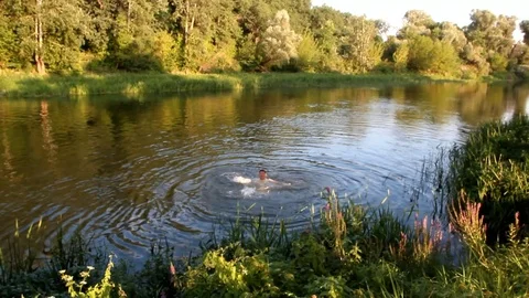 A man in the river makes an attempt to swim against the tide Stock Footage 100980141