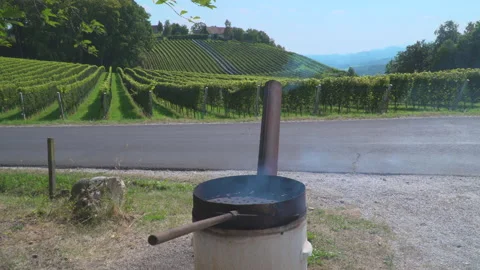 Man roast chestnuts on an open fire Stock Footage 145720507