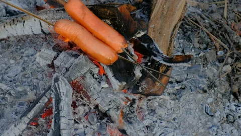 A man roasts sausages on the fire Stock Footage 164381393