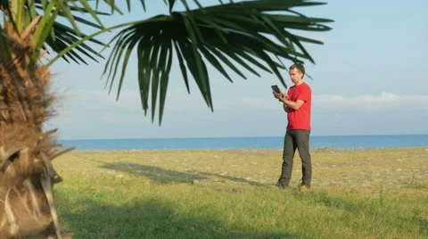 The man on the rocky beach. Palm tree in the foreground. The man is looking at Stock Footage 67515570