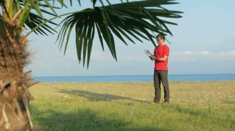 The man on the rocky beach. Palm tree in the foreground. Tourists looking for Stock Footage 67516391