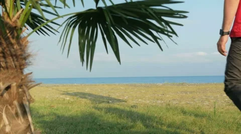 The man on the rocky beach. Palm tree in the foreground. A man goes to the sea Stock Footage 67516981