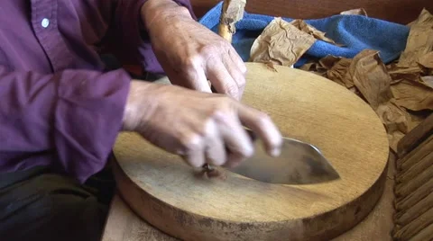 Man Rolling Cigar Stock Footage 5337066