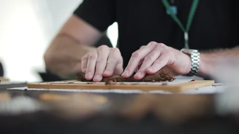 Man Rolling Cigar by Hand at Cigar Making Workshop Stock Footage 316979391