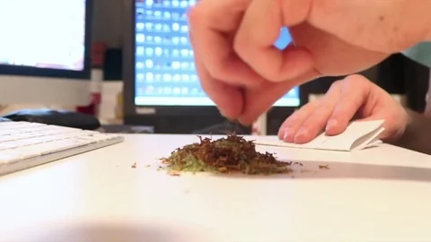 Man rolling joints Stock Footage 76953239