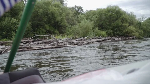 Man rows paddle in boat Stock Footage 120495338