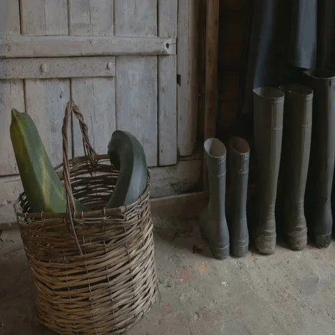 A man in rubber boots comes in with a basket of harvest and enters the barn, 4K Stock Footage 69694100