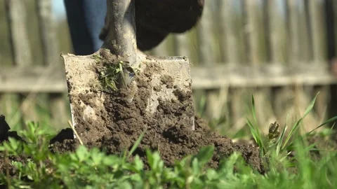 Man in rubber boots dig garden bed on a household plot Stock Footage 154705849