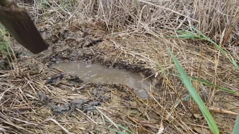 man in rubber boots digs a shovel pit in... | Stock Video | Pond5