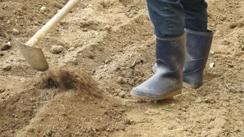 Man in rubber boots digs vegetable patches with Long-handled Japanese 스톡 동영상 153838466