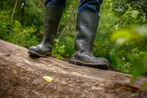 A man in rubber boots is standing on a fallen tree Stock Photos