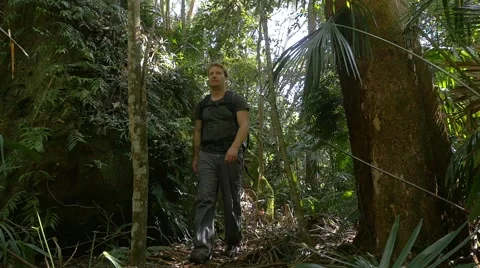 Man With Rucksack Backpack Walking Tourist Hiking, Green Tourism, Vacation Stock Footage 55456498