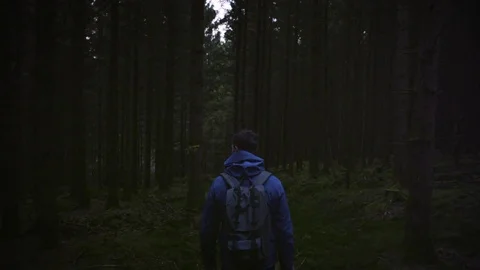 Man with rucksack walking through the woods during dusk time Stock Footage 81536689