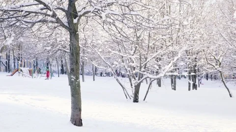 Man run and kick tree. Snow falls from the branch. Slow motion Stock Footage 84976525