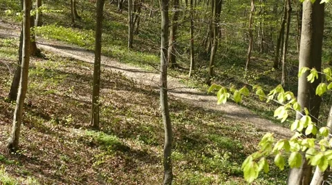 Man Run In Forest 3 Stock Footage 50046381
