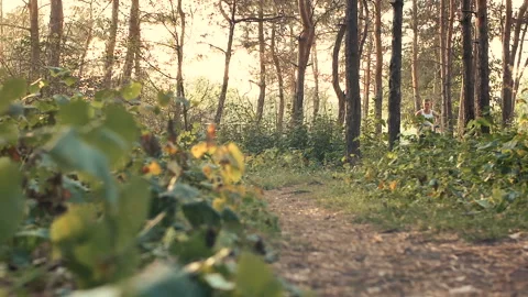 Man on a run in the woods Stock Footage 95690238