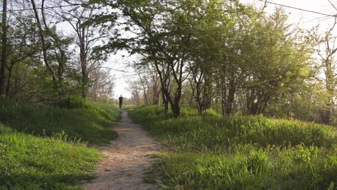 Man runner jogging in sunny wood Stock-Footage 75543724