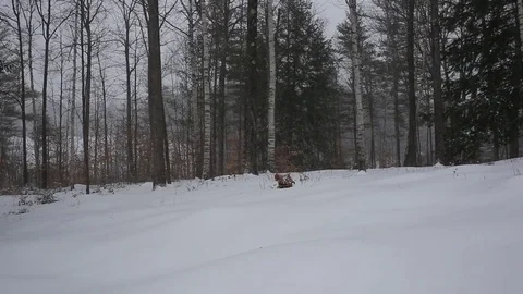 Man running across snow Stock-Footage 73025722