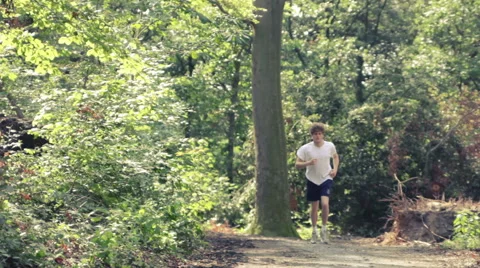 Man running along a forest track Stock Footage 41097740