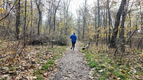 Man running along forest trail in autumn park, back view in blue jacket and Stock Footage 318175501