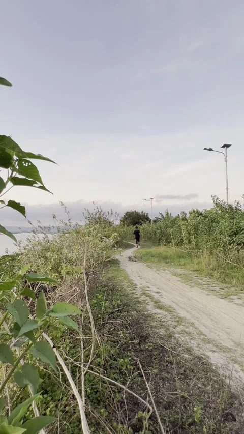 Man Running Along a Rural Dirt Path Stock Footage 342893449